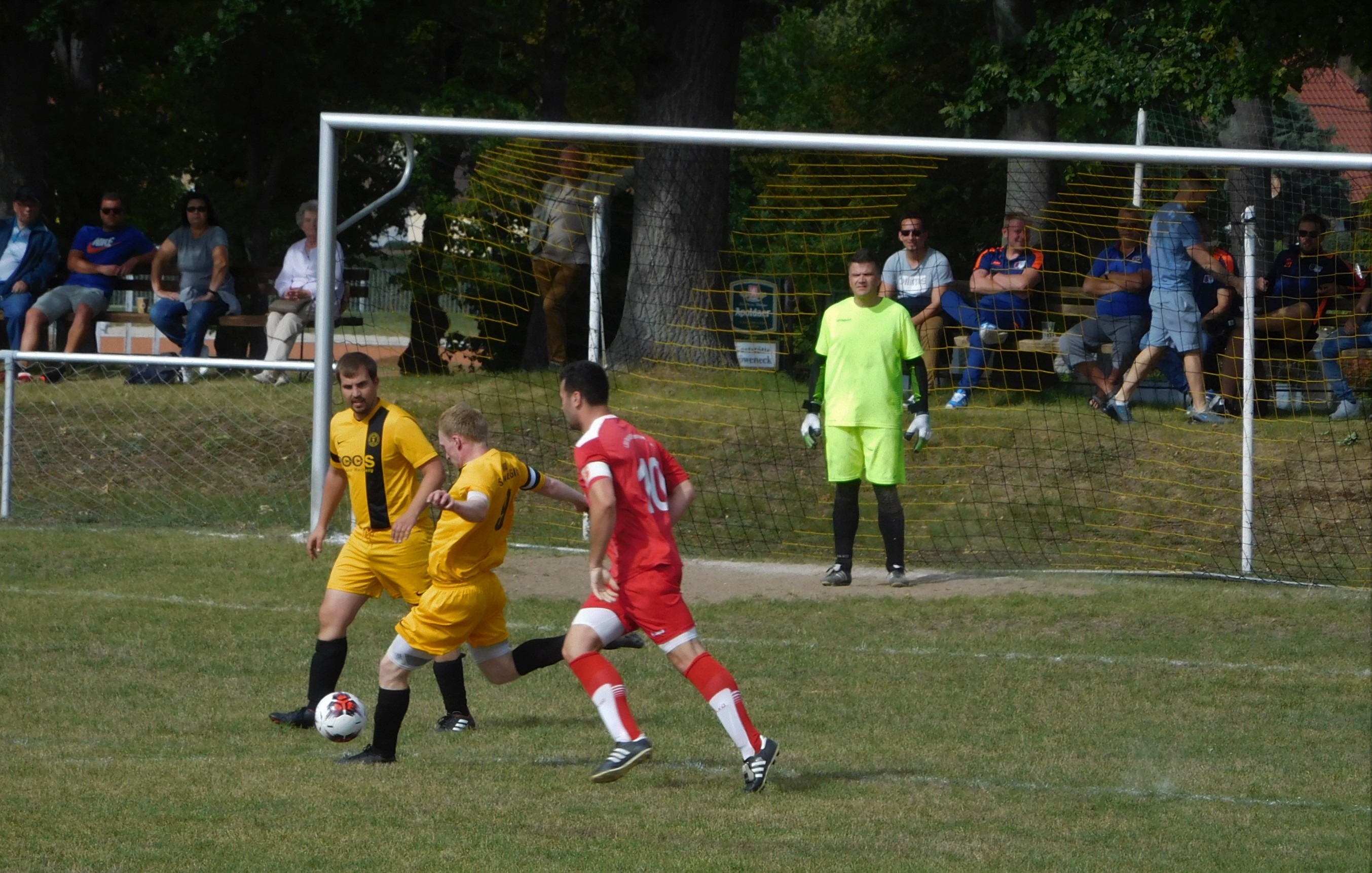 DSCN9571 -1