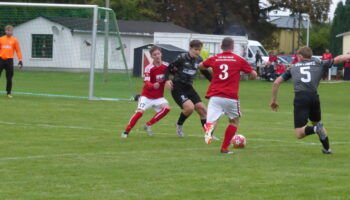 SG LSV/FCM - VSG Löbitz 8:1 (4:1)