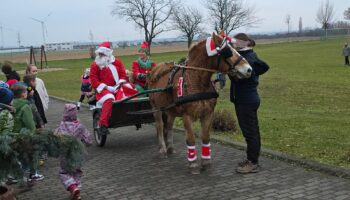 LSV F und E-Junioren beenden das Jahr mit Weihnachtsfeier